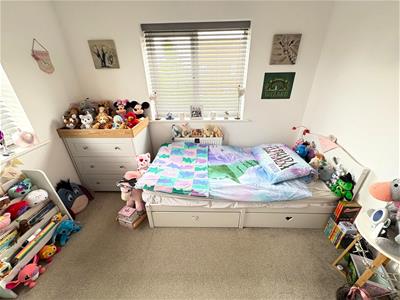 Picture 16